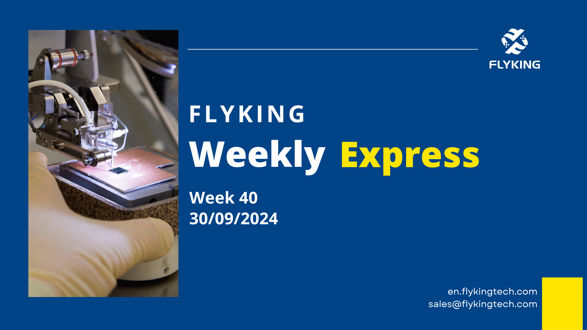 Flyking Weekly Industry Express