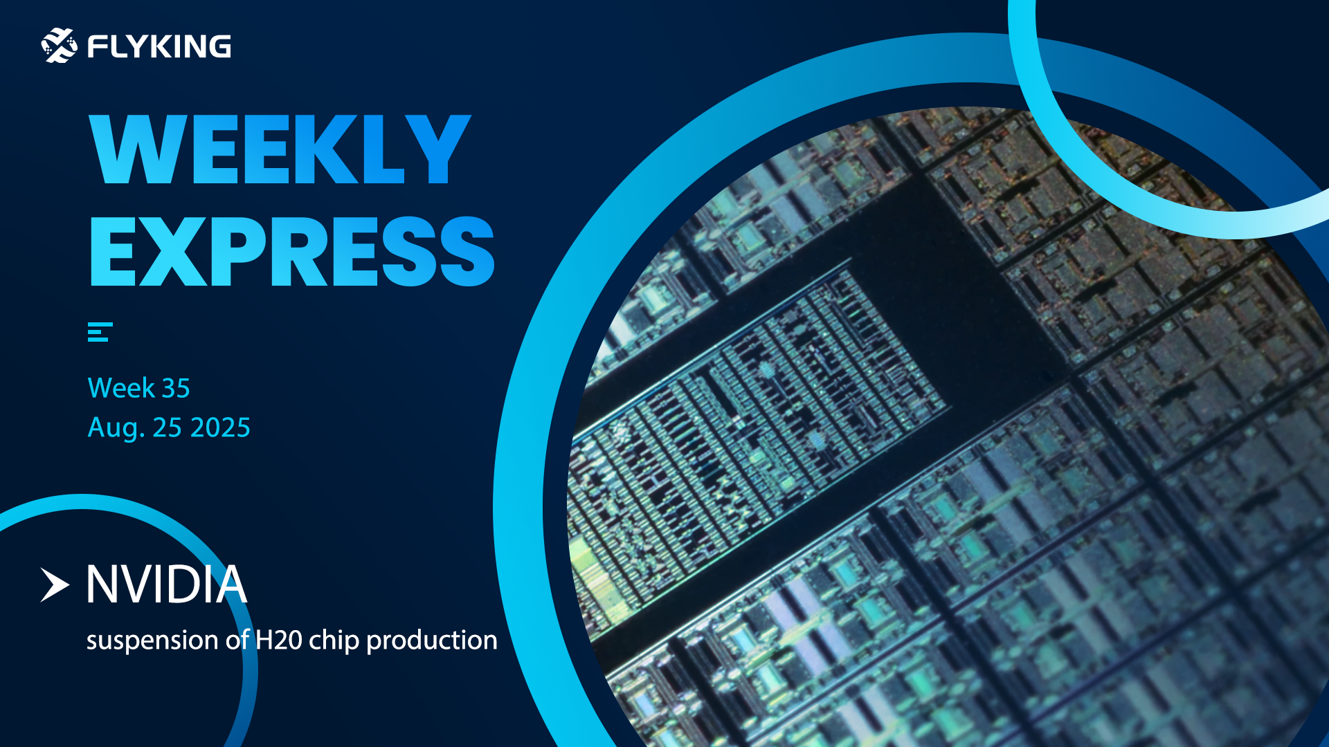 Week 35 | Flyking Weekly Express