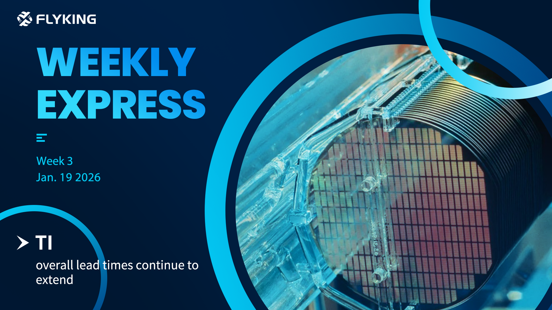 Week 3 | Flyking Weekly Express