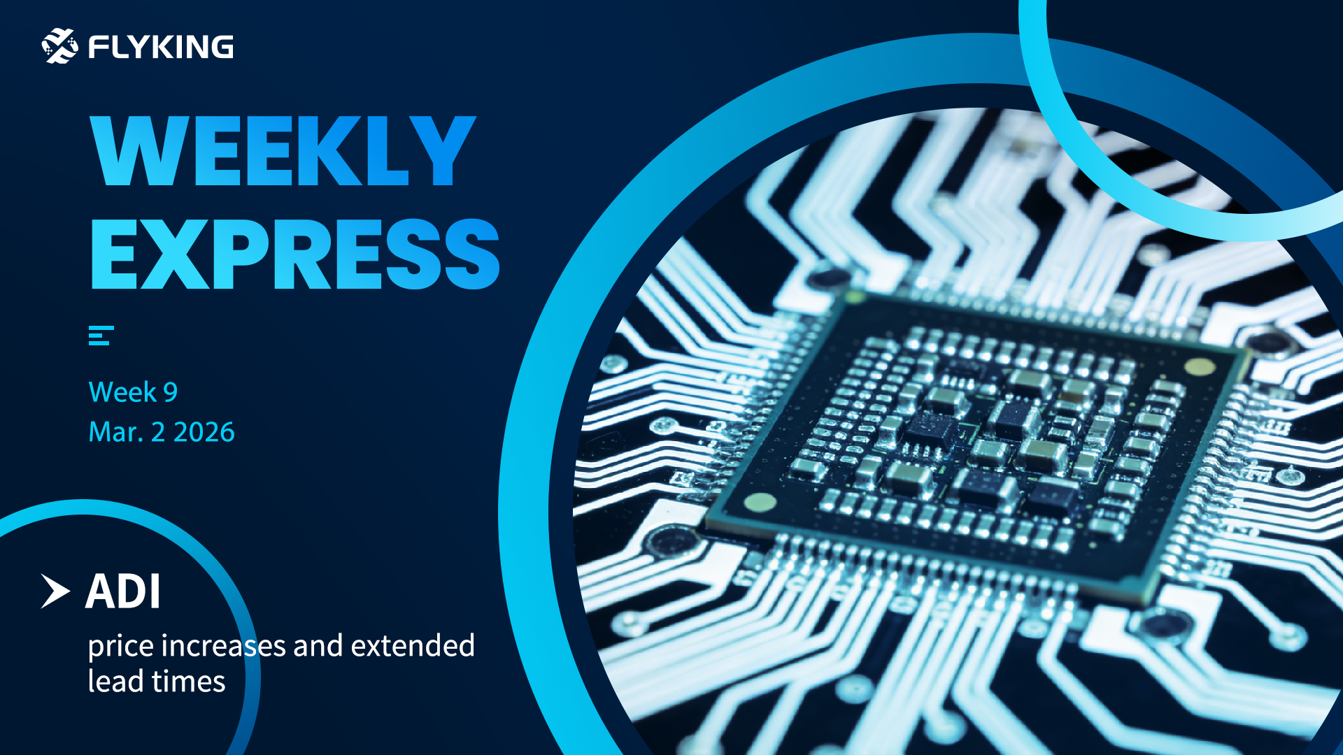 Week 9 | Flyking Weekly Express