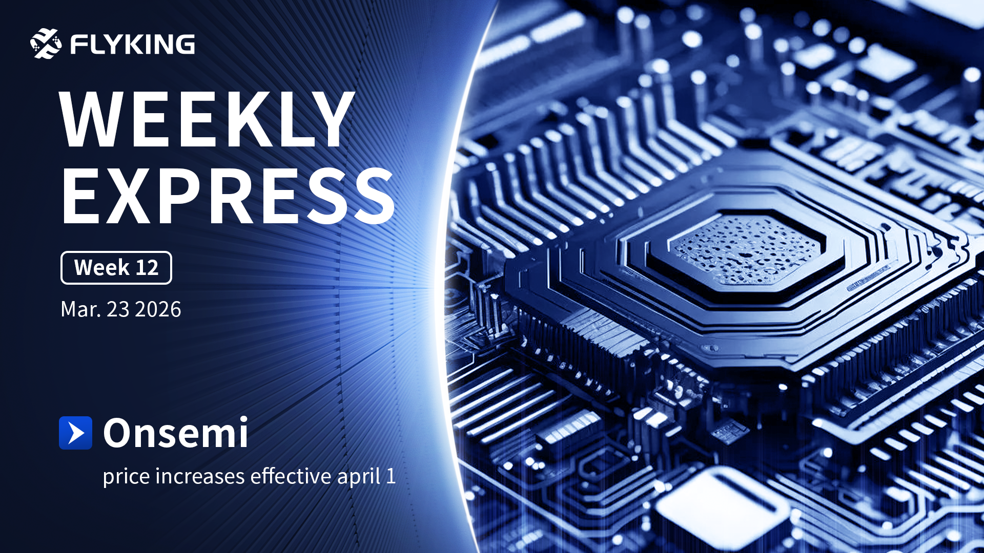 Week 12 | Flyking Weekly Express